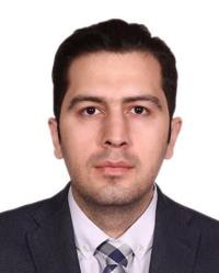 دکتر محسن پورکامی
