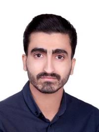 دکتر محمدرضا حسن نیا