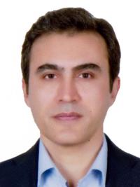 دکتر محمد مجیدی