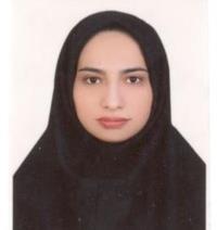 دکتر سیده محدثه حسینی کالج