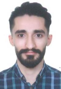 دکتر مجتبی صفوت