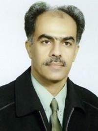 دکتر سیدعمادالدین امینی