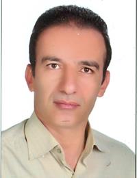 دکتر محمدرضا حسین پوریان