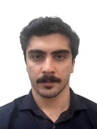 دکتر محمدمعین شیخ محمدمی آبادی