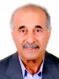 دکتر محمد علی طالشی