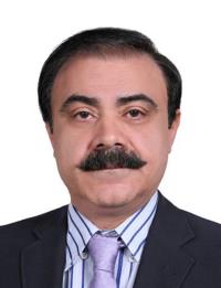 دکتر محمد ربانیها