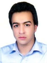 دکتر سیدمهدی حسینی شبانان