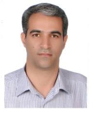 دکتر سیدکمال حسینیان ندوشن