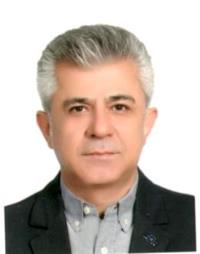 دکتر سعید صفائیان پور