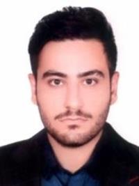 دکتر حمیدرضا حامدی