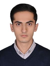 دکتر سیدامیررضا عارفی