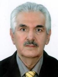 دکتر جواد معینی فیض آبادی