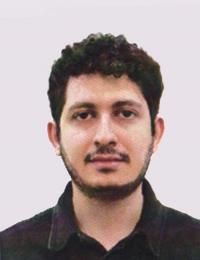 دکتر سیدپارسا حسین پورلمردی