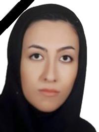 زنده یاد دکتر وحیده زینالی