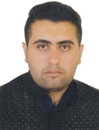 دکتر سیامک رستمی گچی قلعه سی