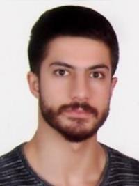 دکتر سیدسینا اسلامبولچیلار