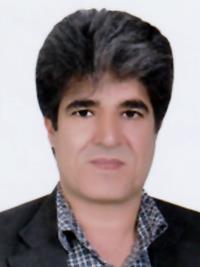 دکتر حسن محبی کردسفلی