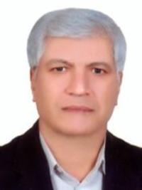 دکتر امین انوری