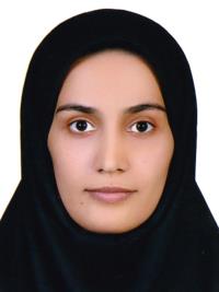 دکتر مهرنوش اسلامی رمچاهی