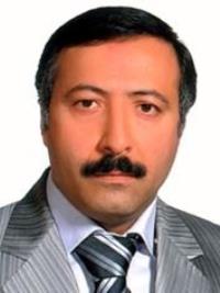 دکتر حسن فتحی