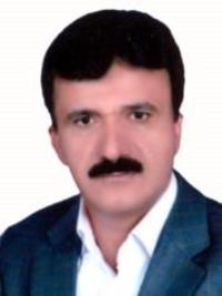دکتر حمیدرضا روائی