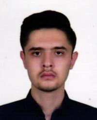 محمد سلطانی