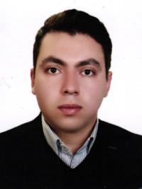 دکتر میثم محصلی عین الدین