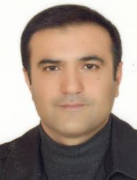 دکتر مجتبی میبدیان