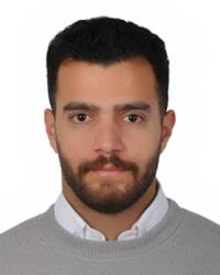 دکتر سیدمجتبی حسینی