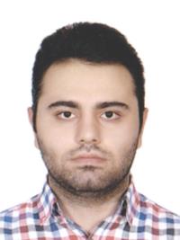 دکتر امیرحسام امینی
