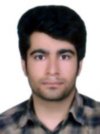 دکتر حمید گودرزی