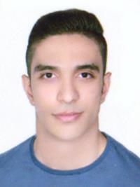 علیرضا گندمی دخت