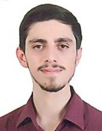 دکتر سیدحسین اوجی