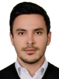 دکتر مهدی حمیدین