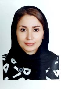 نیر درگاهی مللو