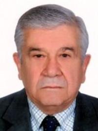 دکتر محمد اسلامی