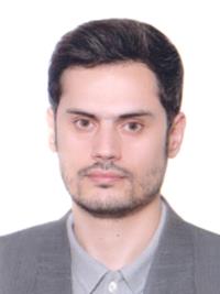 دکتر محمدرضا کرمی شاملو