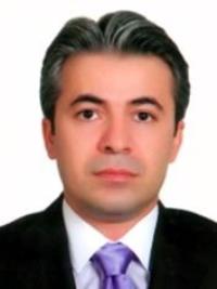 دکتر محمود زینالی نامدار