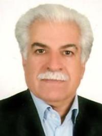 دکتر سیدحسن حسینی