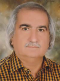 دکتر محمود نوروزی