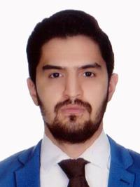 دکتر هامون صبری