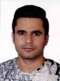 دکتر عمادالدین دری گیو