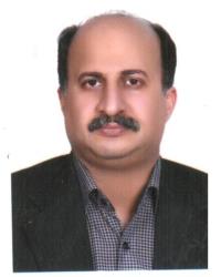 دکتر سیدحسام الدین علوی املشی