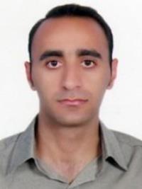 دکتر ولی اله شرفی