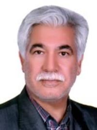 دکتر محمود عامریون