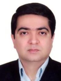 دکتر امیرمحمد عرفا
