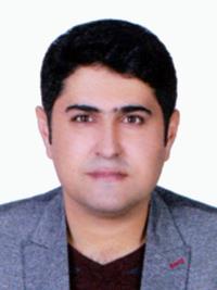دکتر حسن بایبوردی