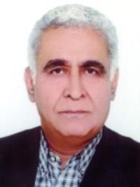 دکتر محمدتقی معینی پور