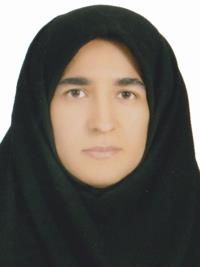 دکتر نسرین سادات میرطلائی