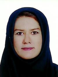 دکتر شادی محبی